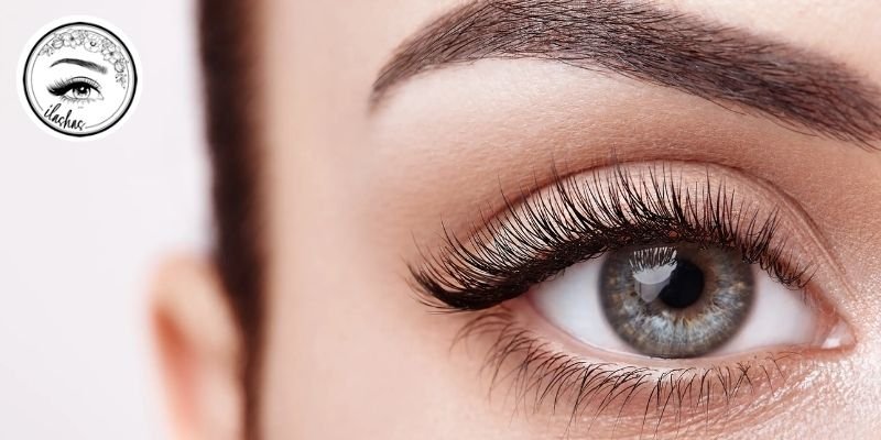 How To Take Care Of Natural Lashes